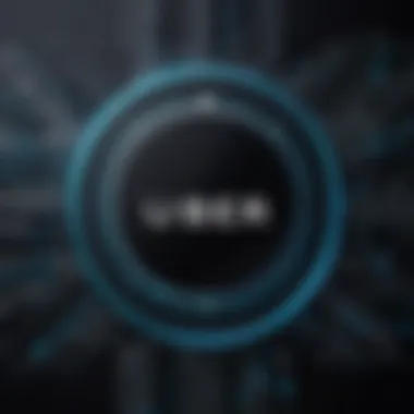 Future Adaptability of the Uber Logo Future Adaptability of the Uber Logo