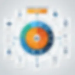 Diagram illustrating the key responsibilities of an ERP Program Manager