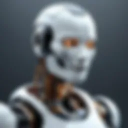 Conceptual representation of an intelligent bot interacting with users