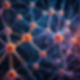 Visual representation of deep learning neural networks