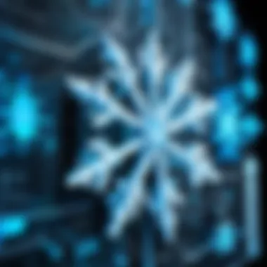 Efficiency Blueprint of Snowflake