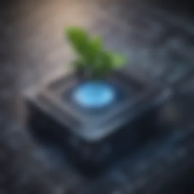 Alliance Cultivation Mastery Alliance Cultivation Mastery