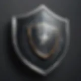 Shield symbolizing security