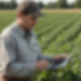 Agricultural Specialist inspecting crops in the field