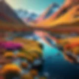 Showcasing artistic filters applied to a vibrant landscape