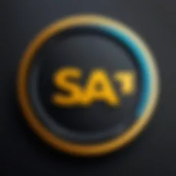Illustration depicting the SAP BRIM certification logo