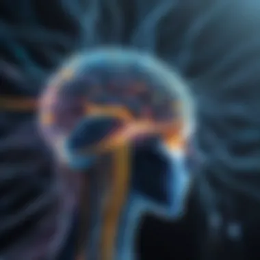 How Neural Networks Operate Visualization of neural network functioning