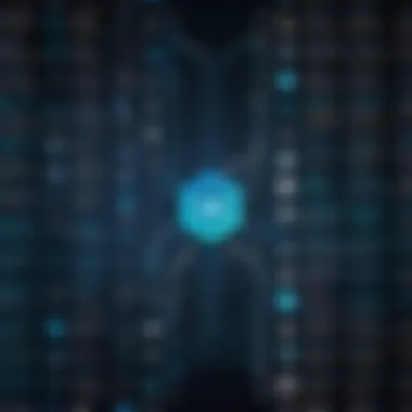 A visual representation of diverse programming languages and tools