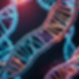 A close-up view of DNA strands intertwined in a complex structure.