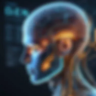 Machine Learning Algorithms A visualization of machine learning algorithms